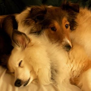 Meet your Posher, Meghan